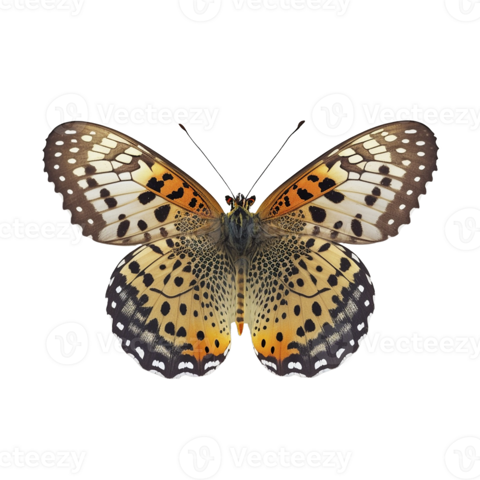 eben legen Aussicht von das Schmetterling auf transparent Hintergrund, erstellt mit generativ ai png