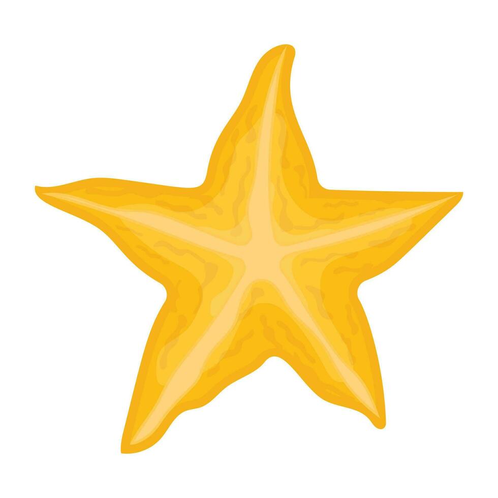 A star cutted slice of fruit having seeds depicting carambola vector