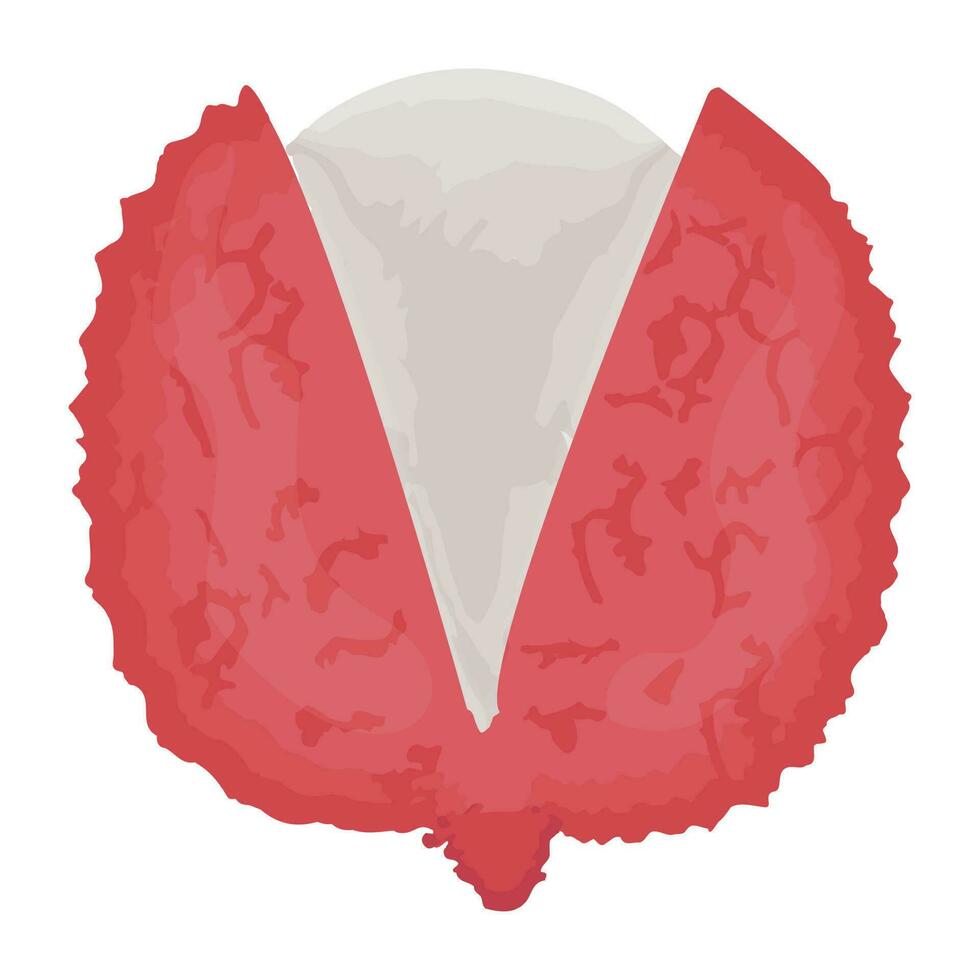 Icon of a fresh peeled fruit depicting lychee vector