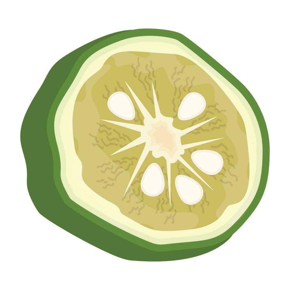 A half cutted piece of fresh fruit seeds depicting persian lime vector