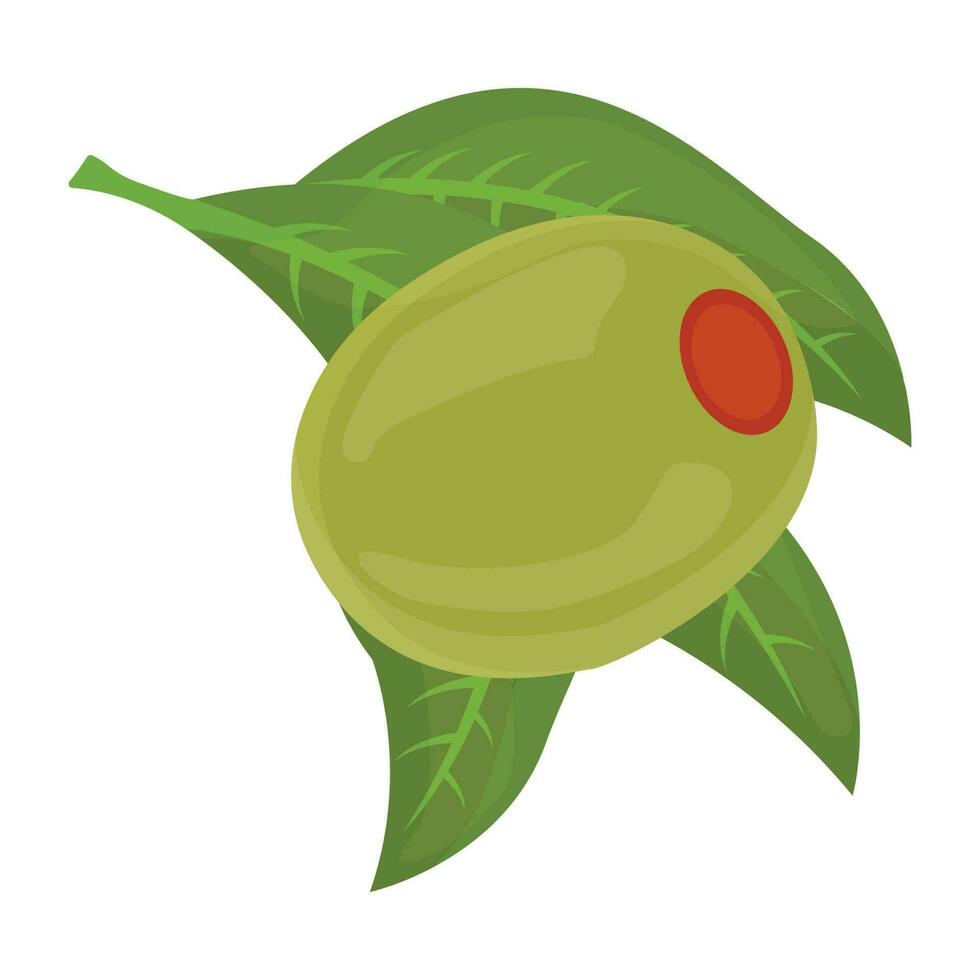 Icon of a fresh fruit with leaves depicting olive vector