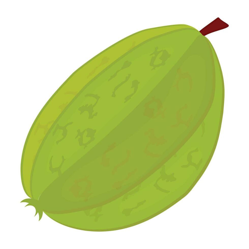 Icon of fresh fruit depicting carambola vector