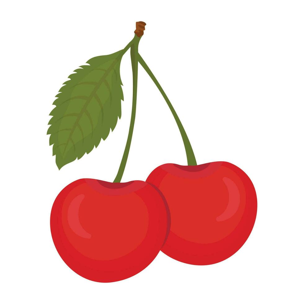 A pair of healthy fruit with leave depicting cherry vector
