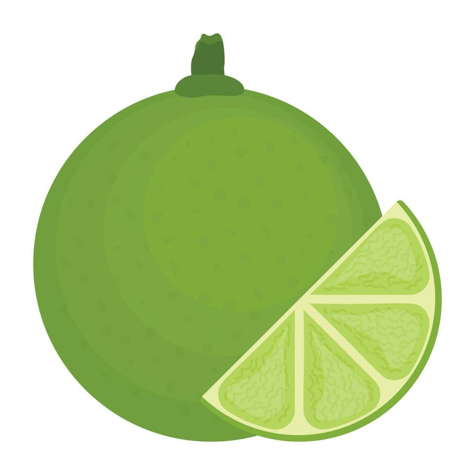 Icon of fresh fruit with a piece depicting  lime vector