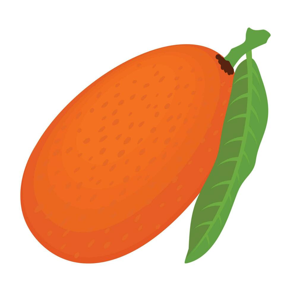 Juicy summer fresh fruit with a leaf depicting mango vector