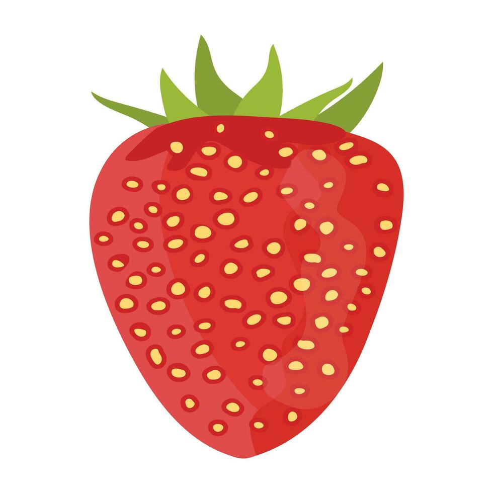 A fresh juicy piece of strawberry vector