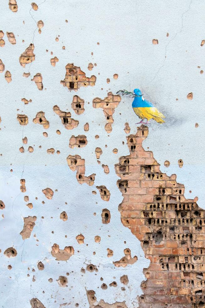 Shelled wall with a drawing of a dove in the colors of the flag of ukraine, blue and yellow. The dove is a symbol of purity, light, peace, love, the human soul. Ukraine, Kyiv - May 06, 2023. photo