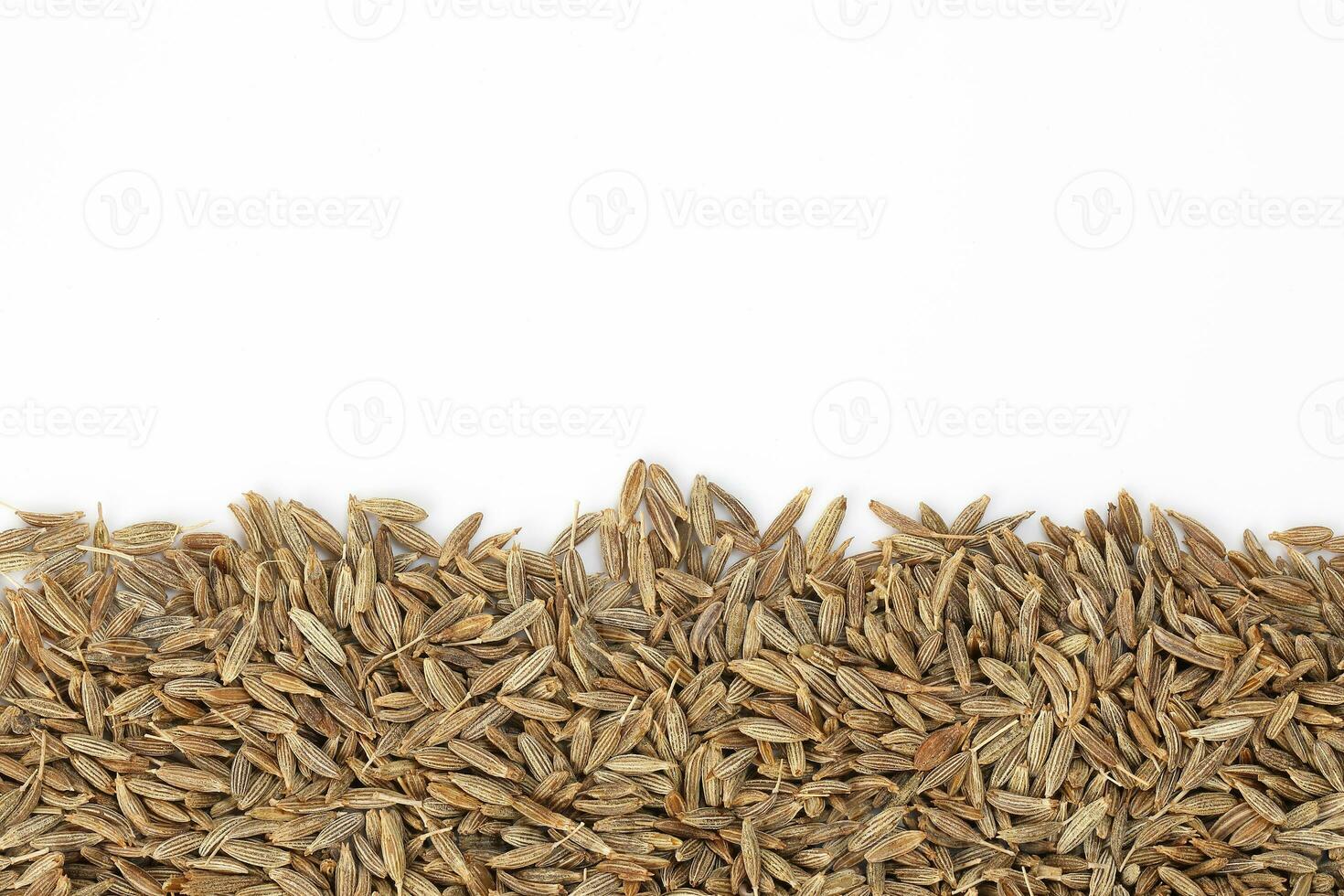 Cumin seeds dry whole powdered healthy aromatic spice jeera copy space border photo