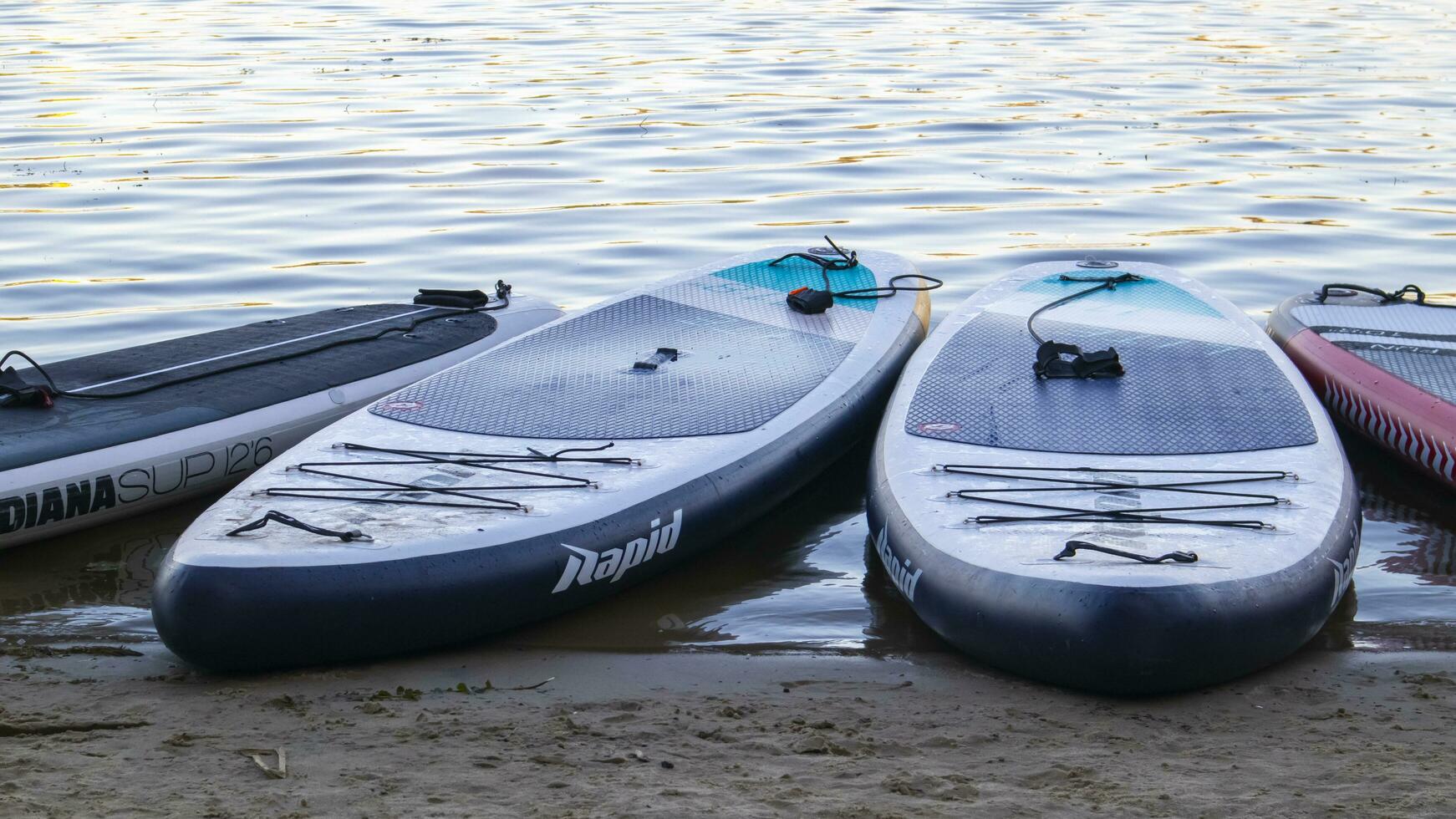 Empty SUP boards sway on the waves on a calm river or lake. Water sports. Lots of boards at the rental shop, the sun reflecting off the ripples of the water. Panning. Ukraine, Kyiv - August 07, 2022. photo