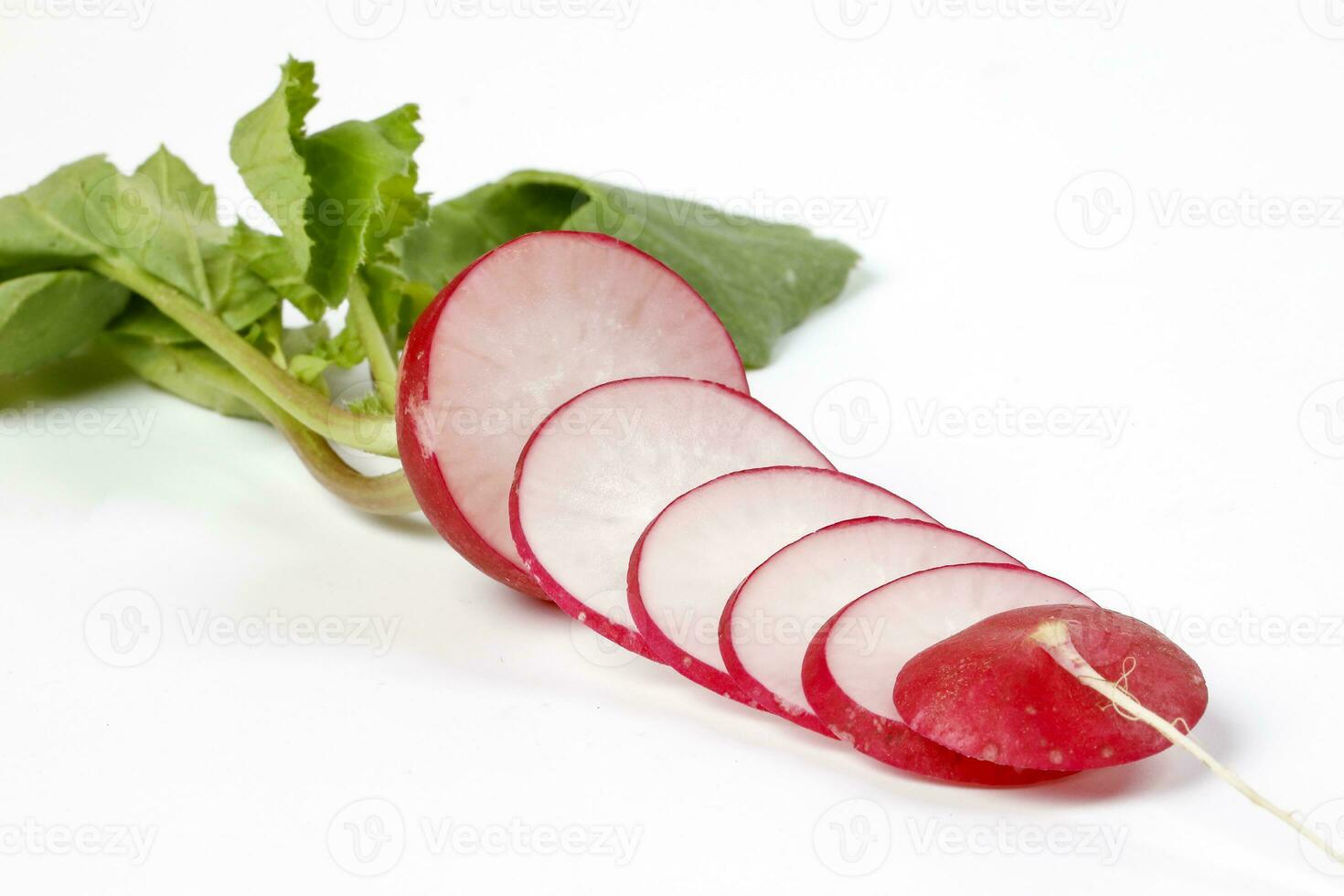 Small red radish on white background photo