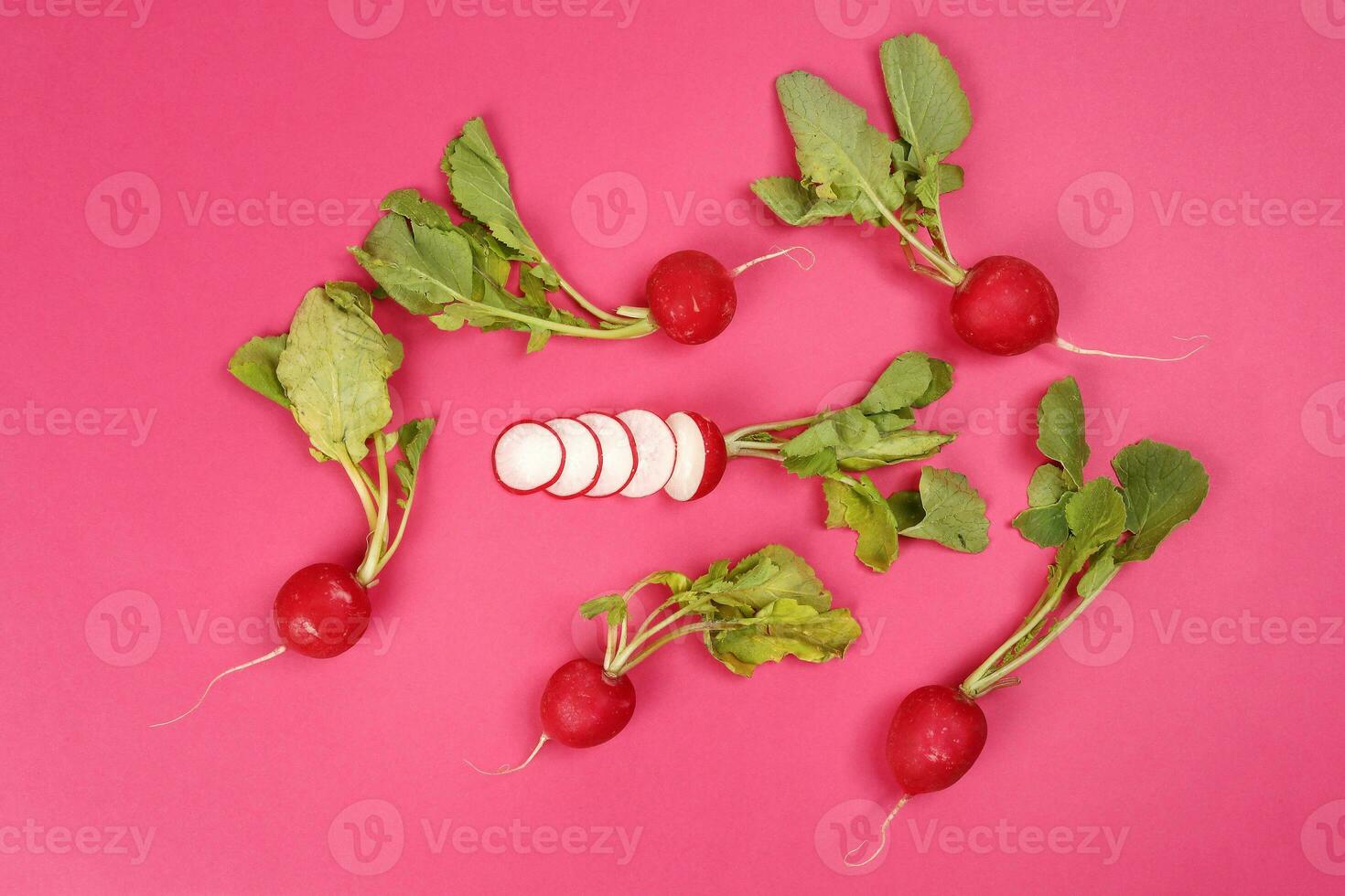 Small red radish on red ackground photo