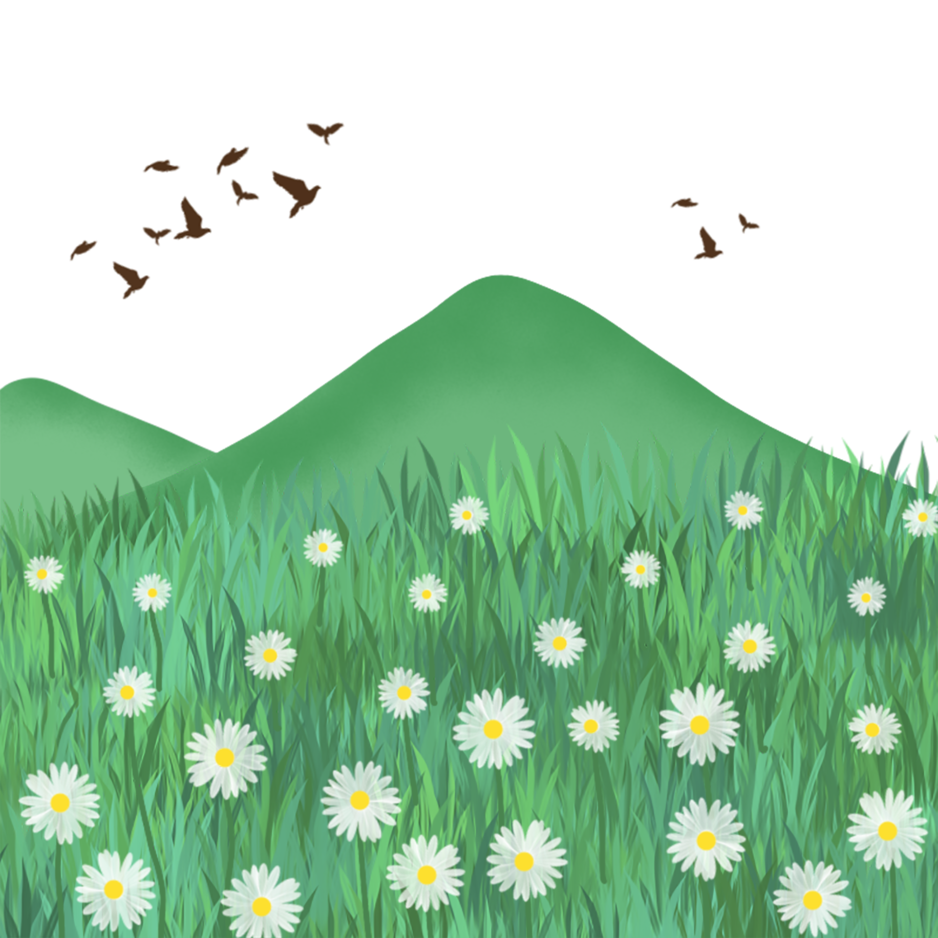 flower in the garden 24512093 PNG