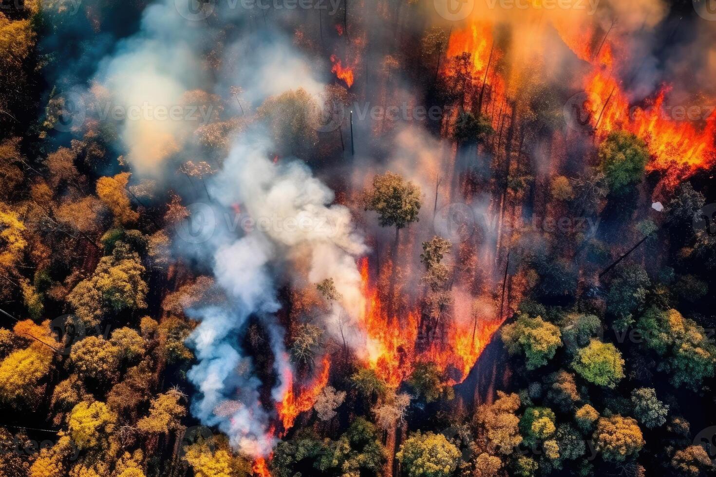 Aerial view wildfire in woods, draught and hot weather. photo