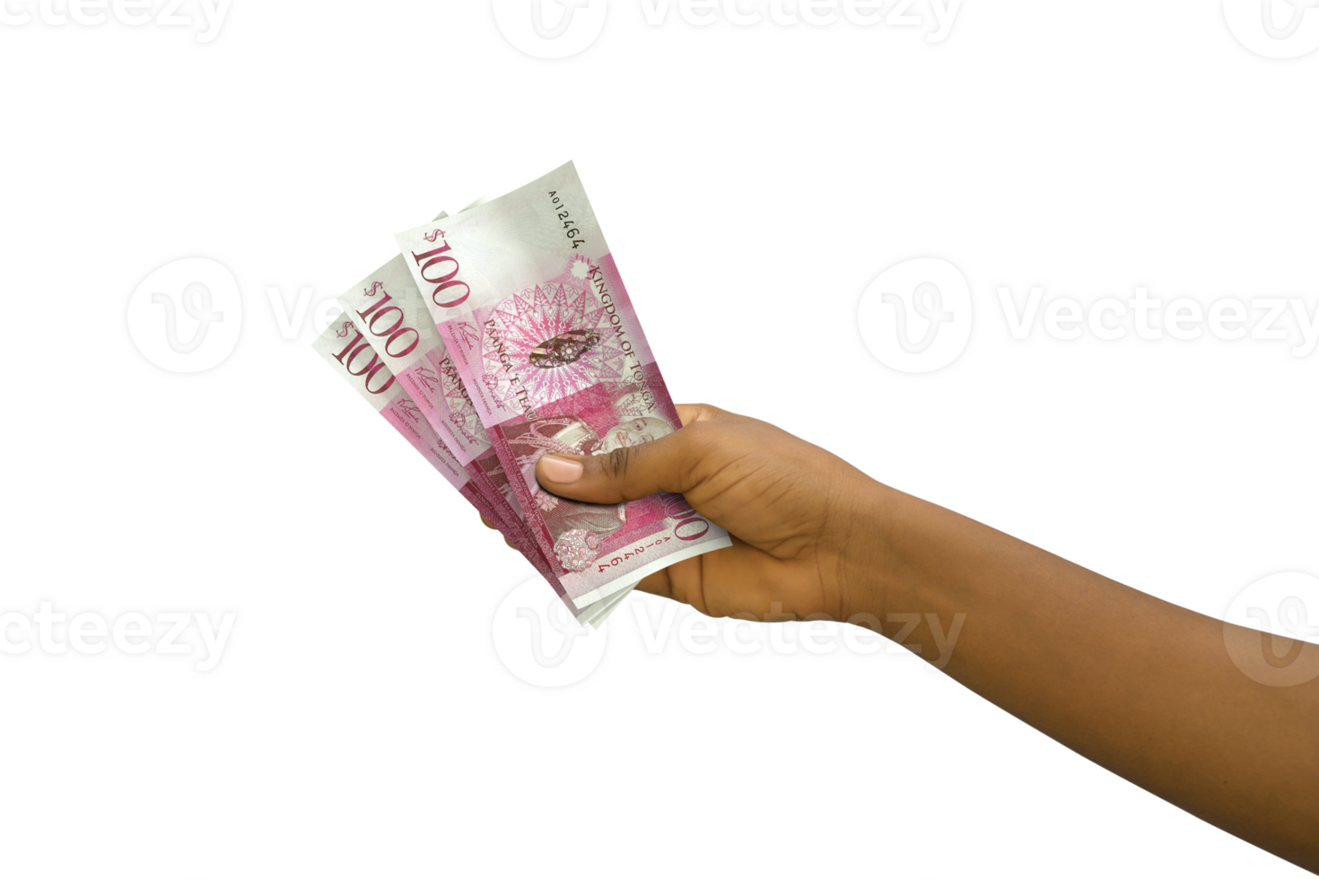 Fair hand holding 3D rendered Tongan Paanga notes isolated on  transparent background png