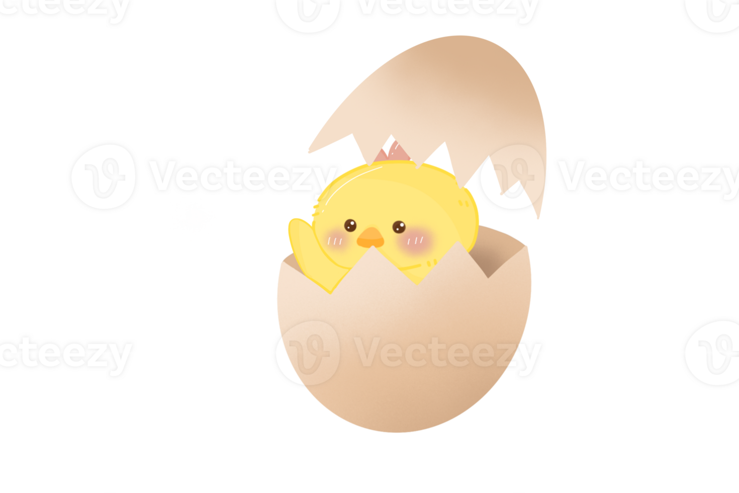 Chick in the egg png