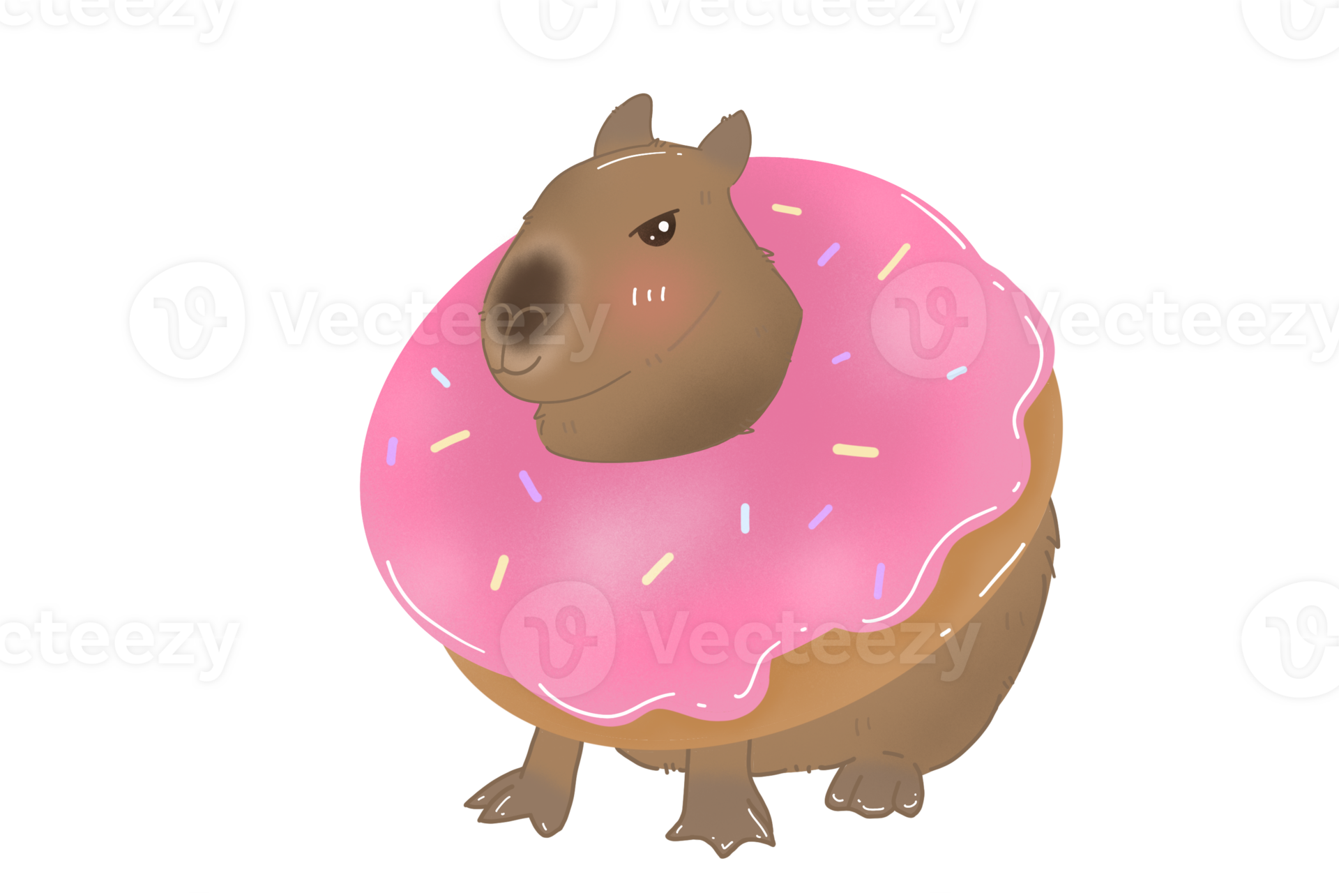 Capybara with its donuts 24512794 PNG