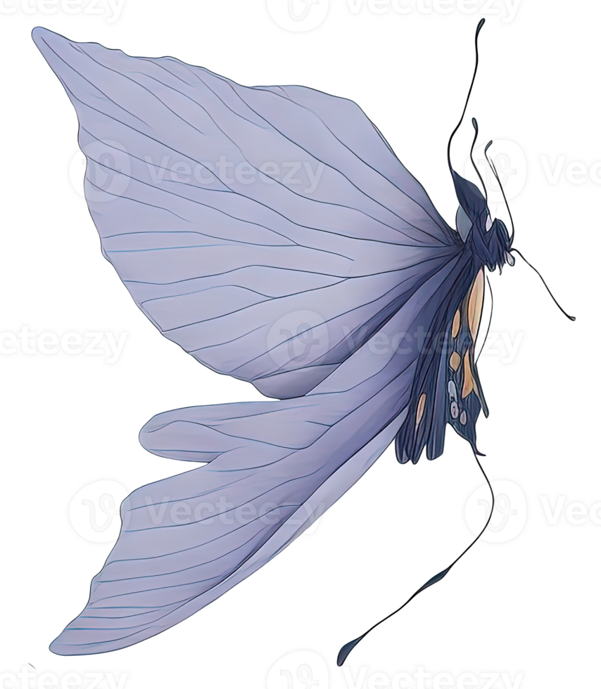 Watercolor Butterfly isolated. png
