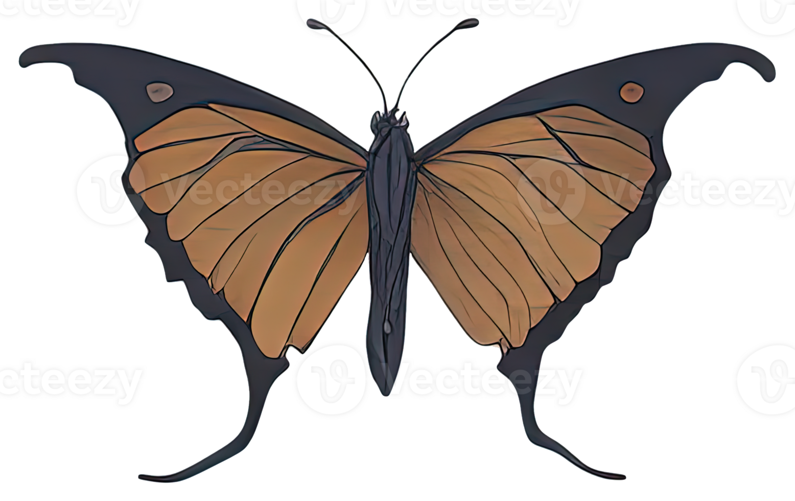 Watercolor Butterfly isolated. png