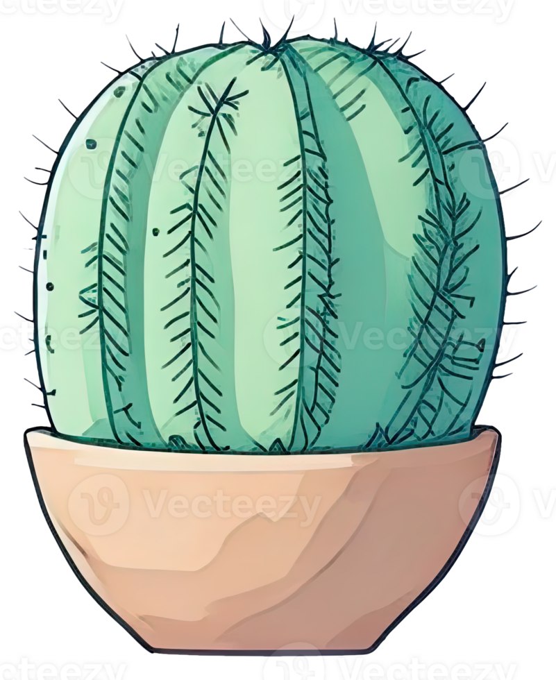 Cute cactus illustration. png