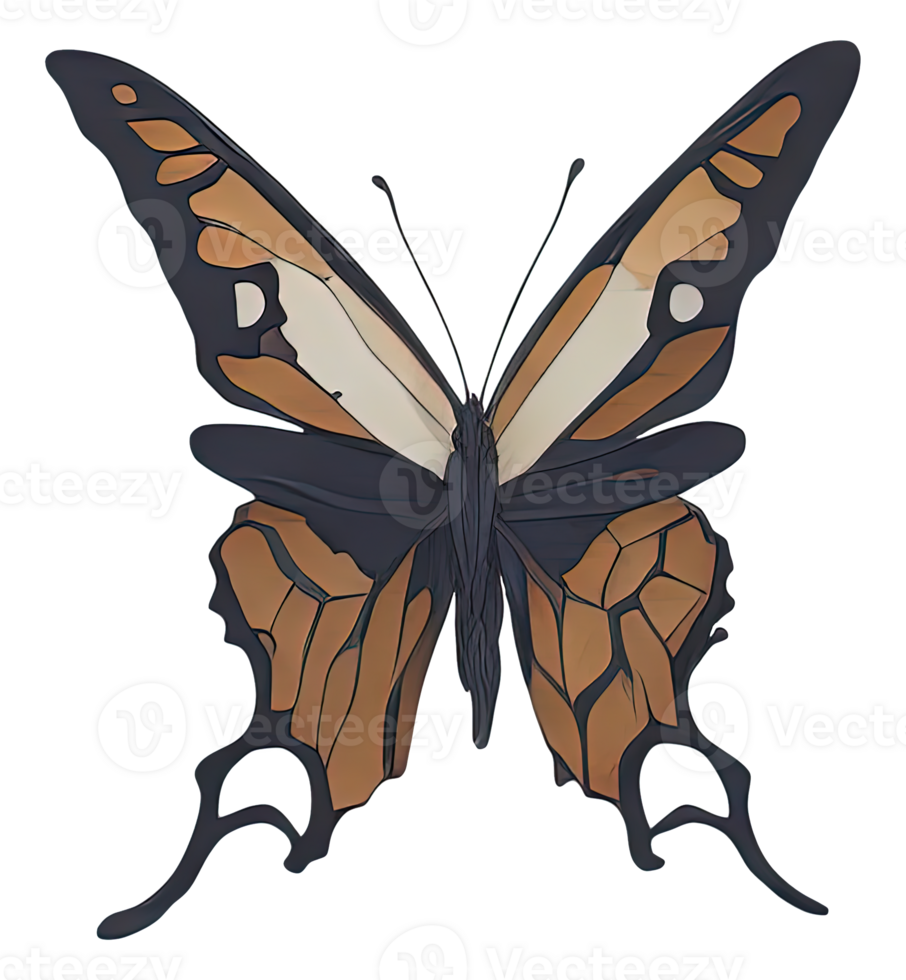 Watercolor Butterfly isolated. png