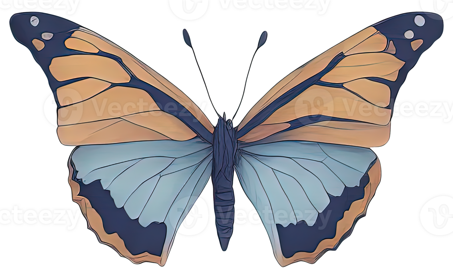 Watercolor Butterfly isolated. png