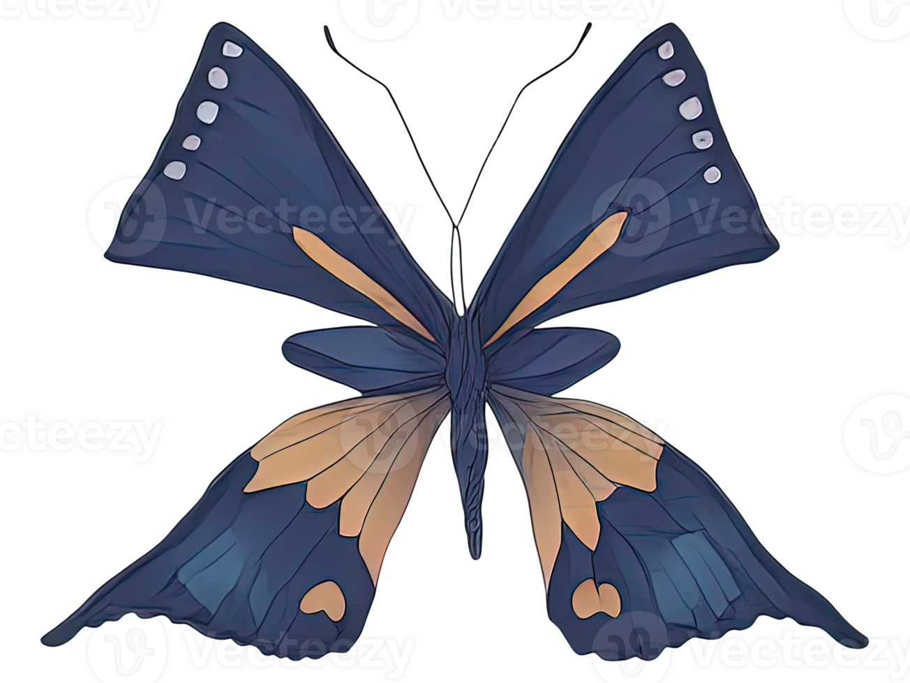 Watercolor Butterfly isolated. png