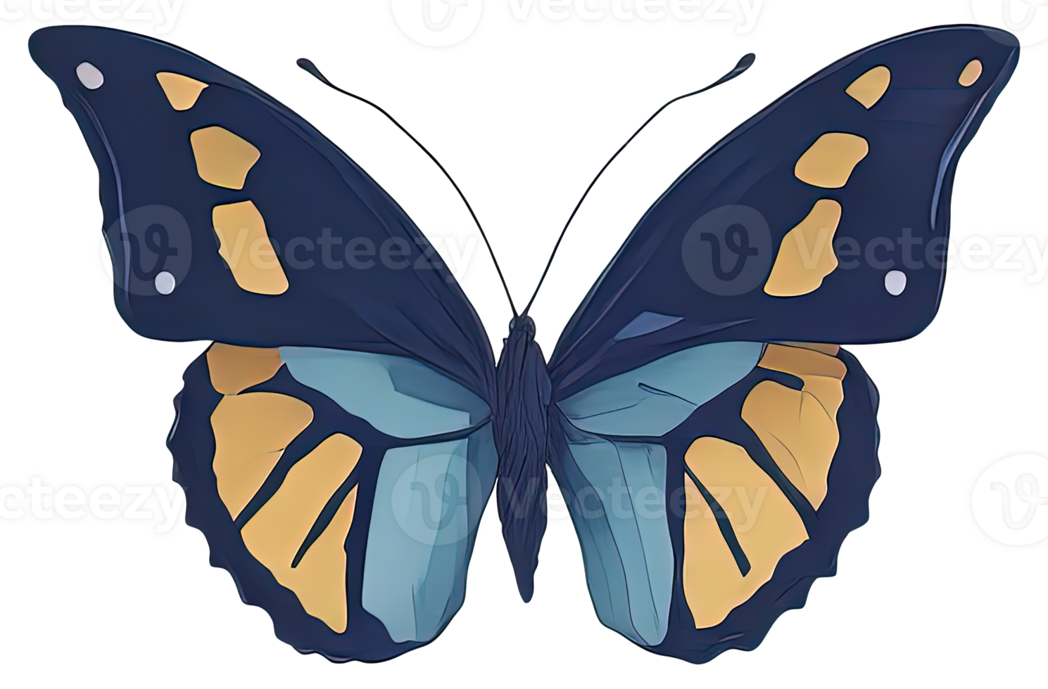 Watercolor Butterfly isolated. png