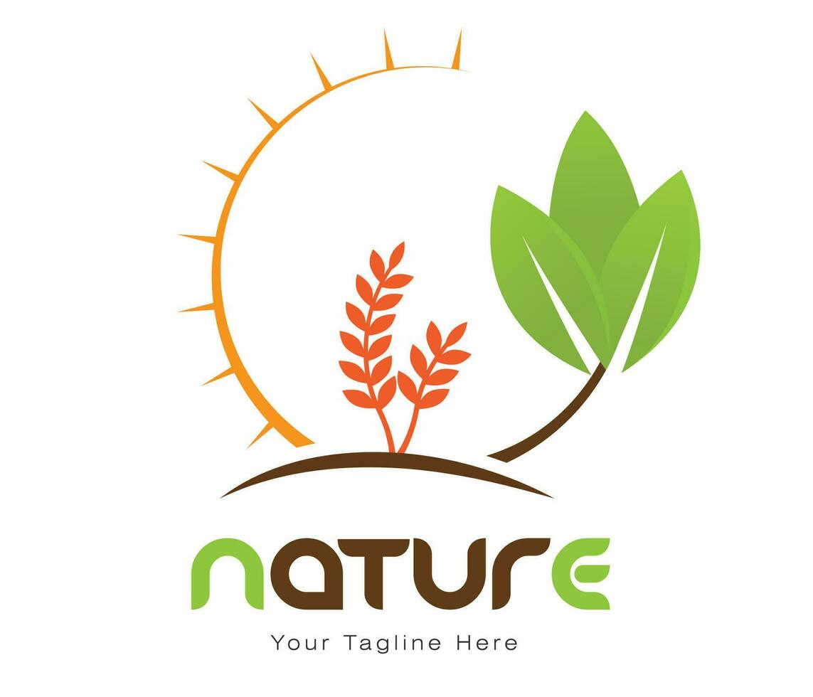 nature logo eco friendly environment logo farming wheat green leaf sunlight vector illustration grow wheat natural organic concept vector illustration