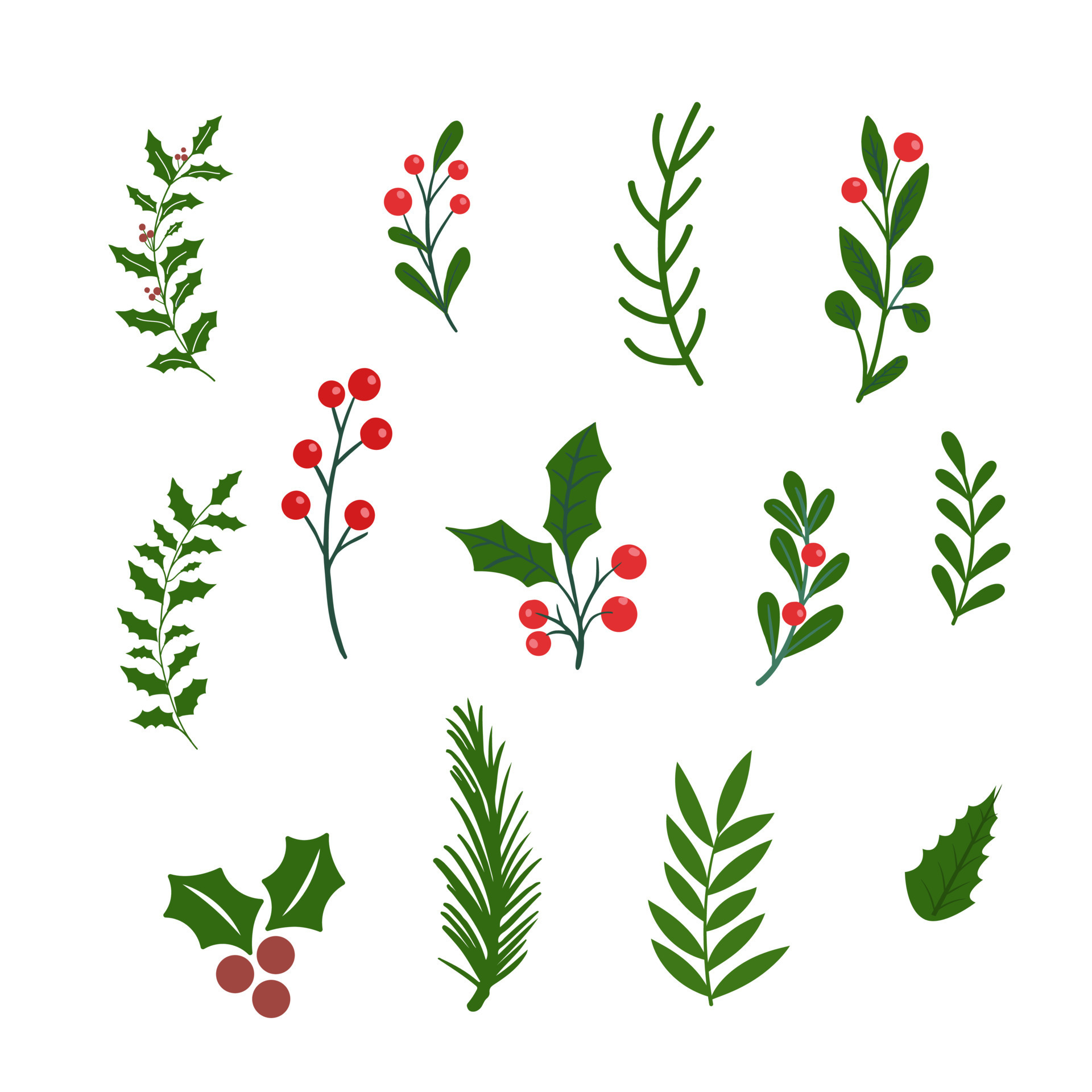 Christmas Tree Leaves Winter Green Leaf Designs Flat Vector 24515462
