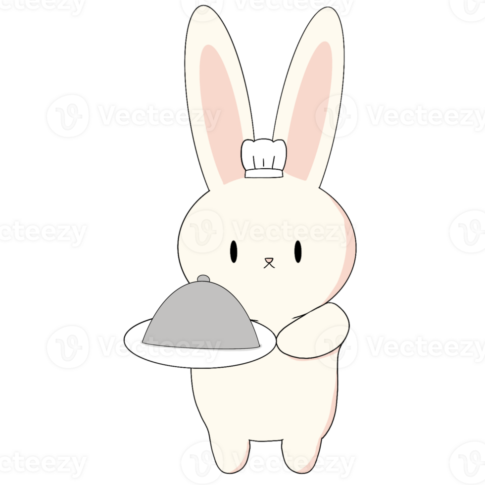 Cute bunny chef png