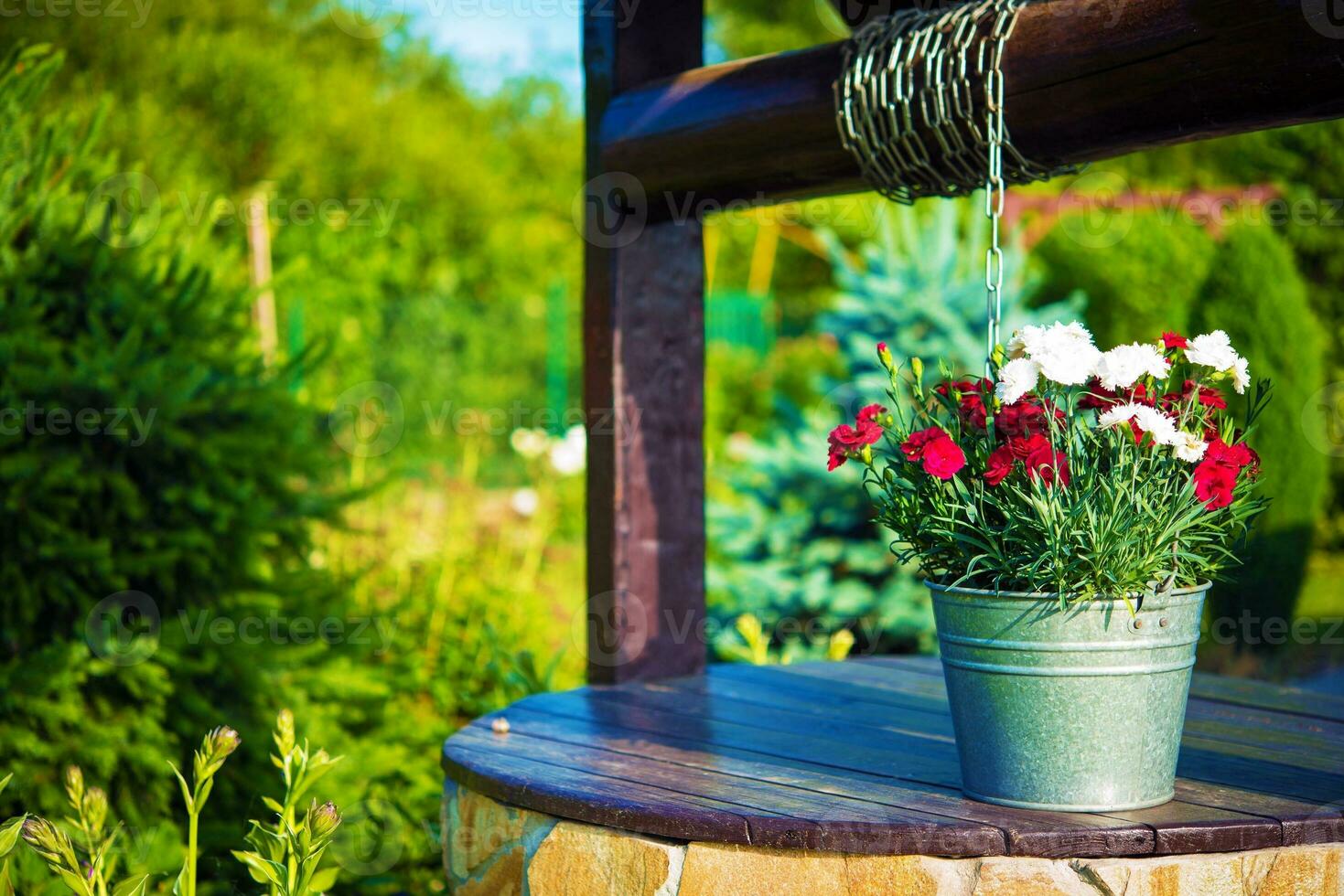 Flowers Bucket on a Well photo
