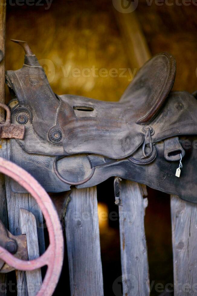 Saddle in Barn photo