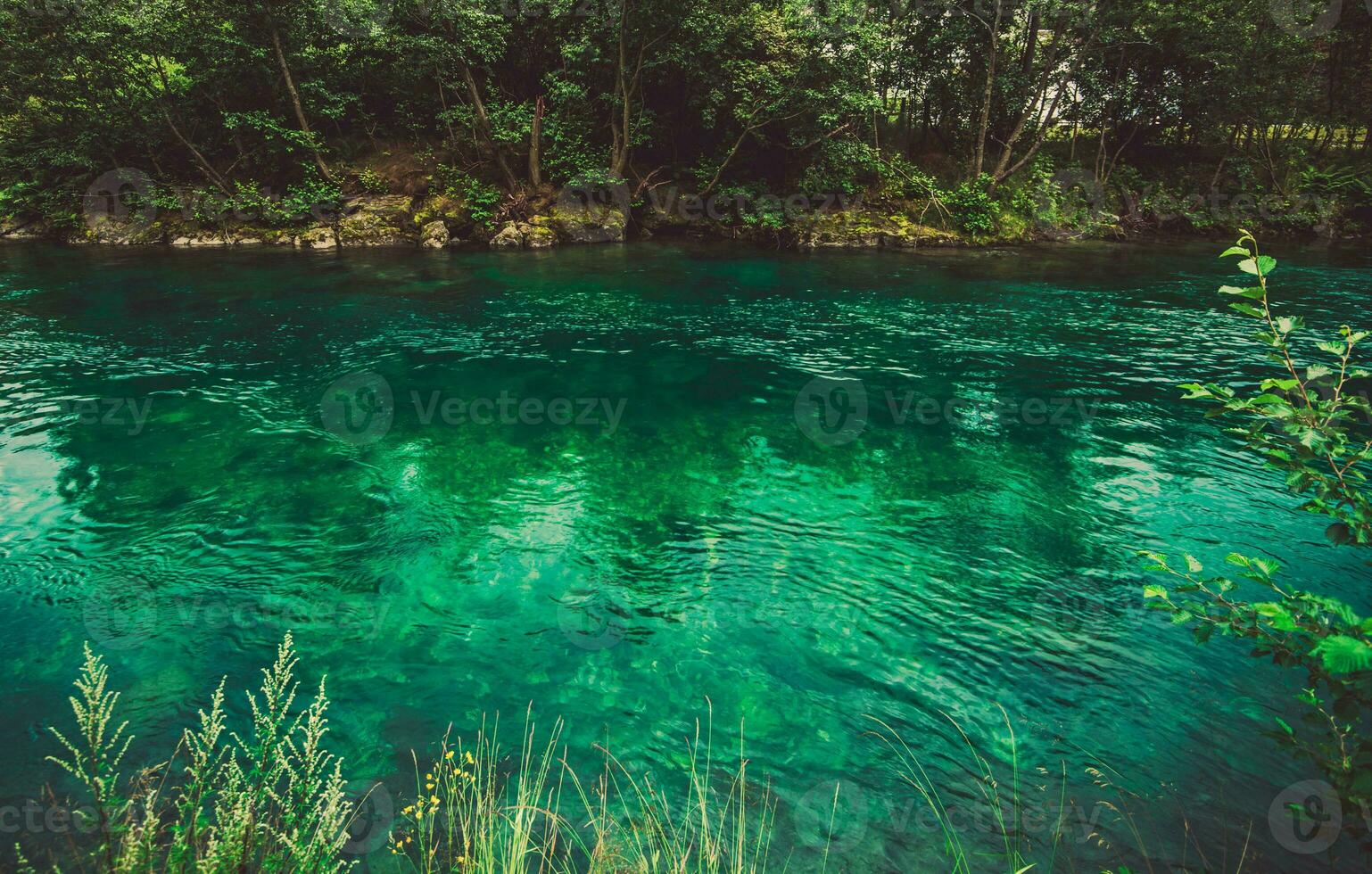 Crystal Clear Waters Of River In Norway. photo