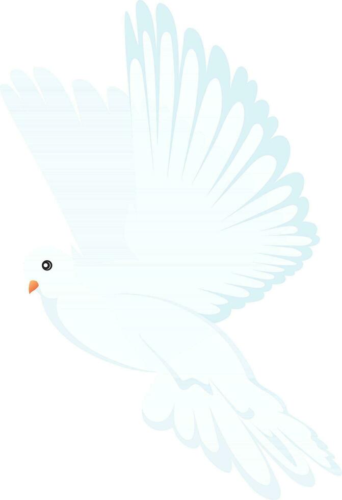 Beautiful flying dove bird. vector