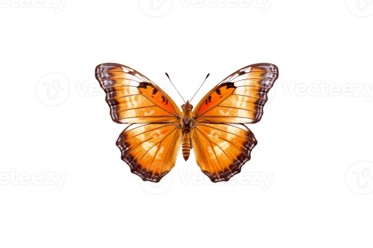 Butterfly Isolated on Transparent Background. AI png