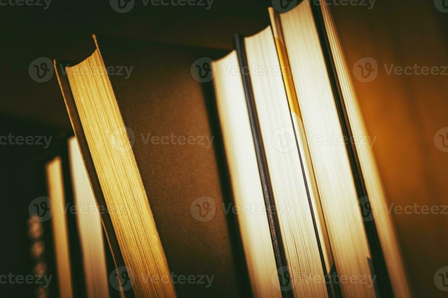 The Book Choice photo