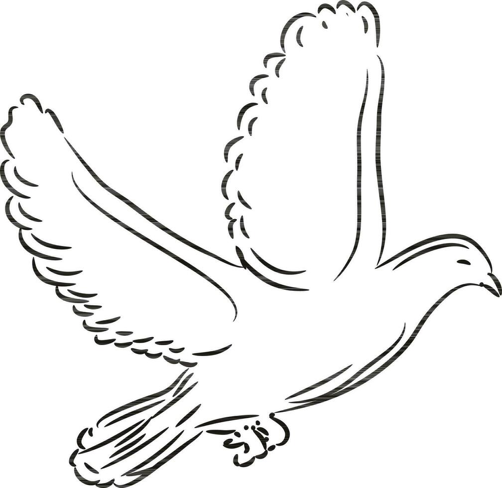 Flying bird in the sky isolated. vector
