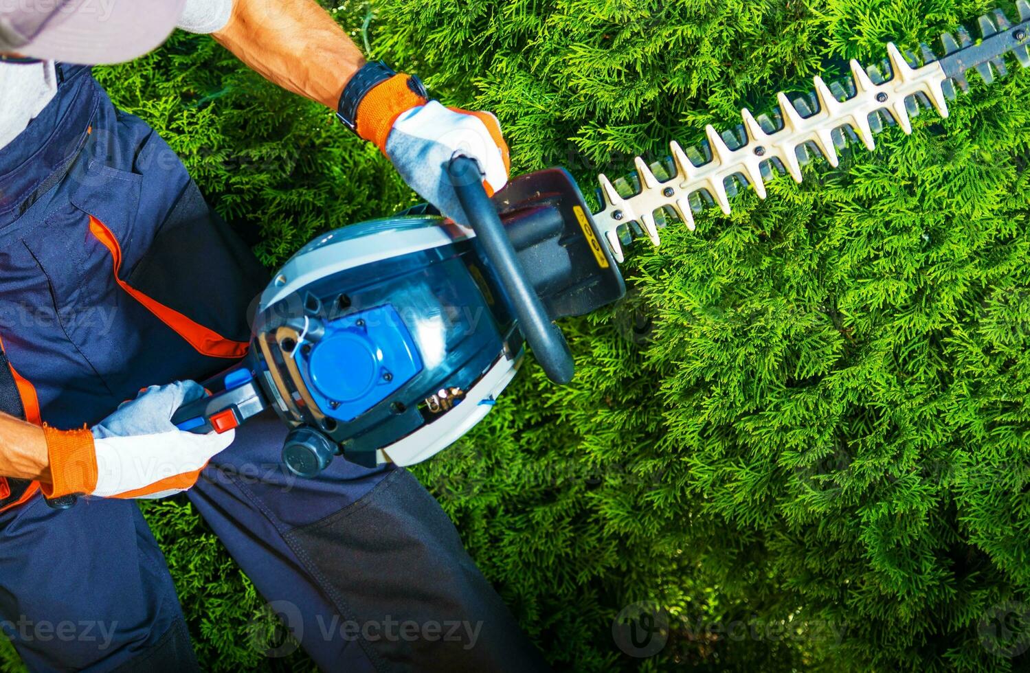 Trimming Time Close-up photo
