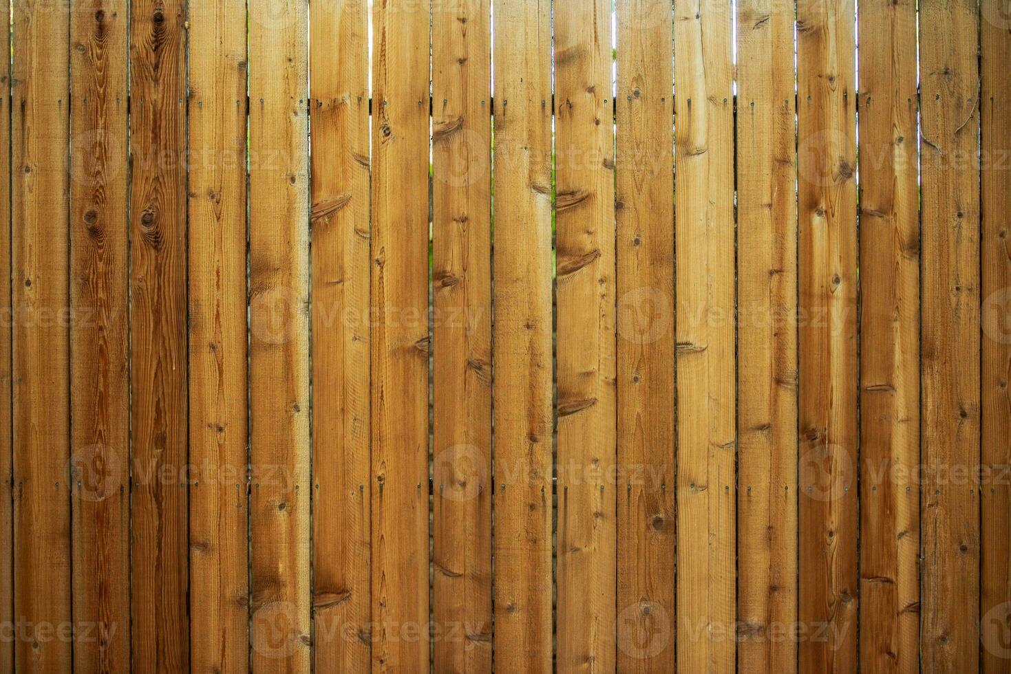 Wood Fence Backdrop photo