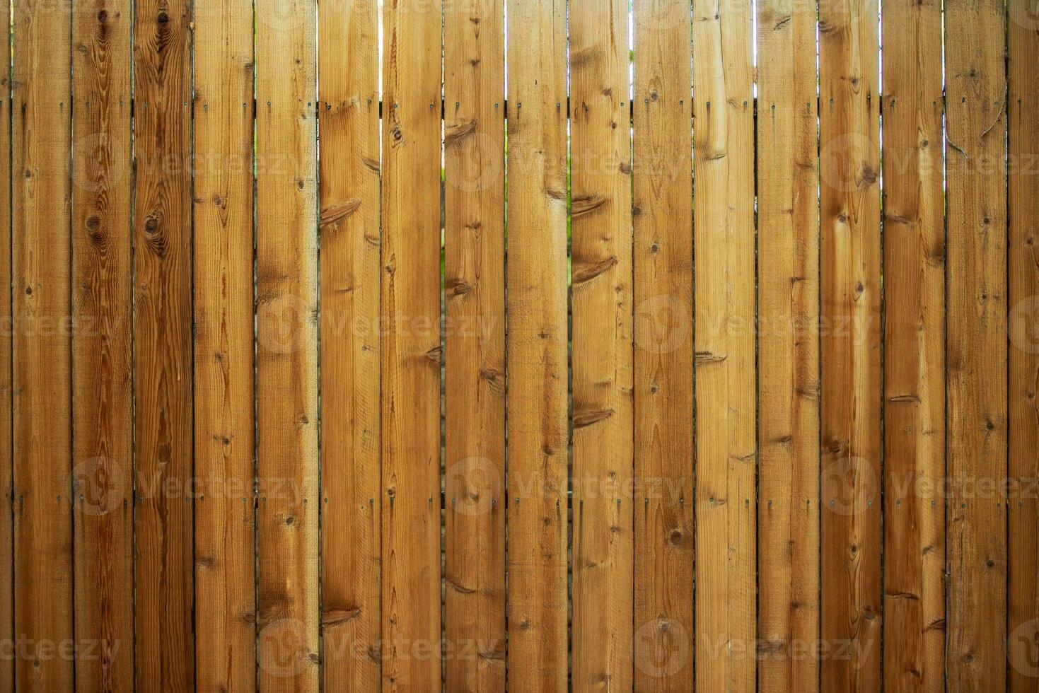 Wood Fence Backdrop photo