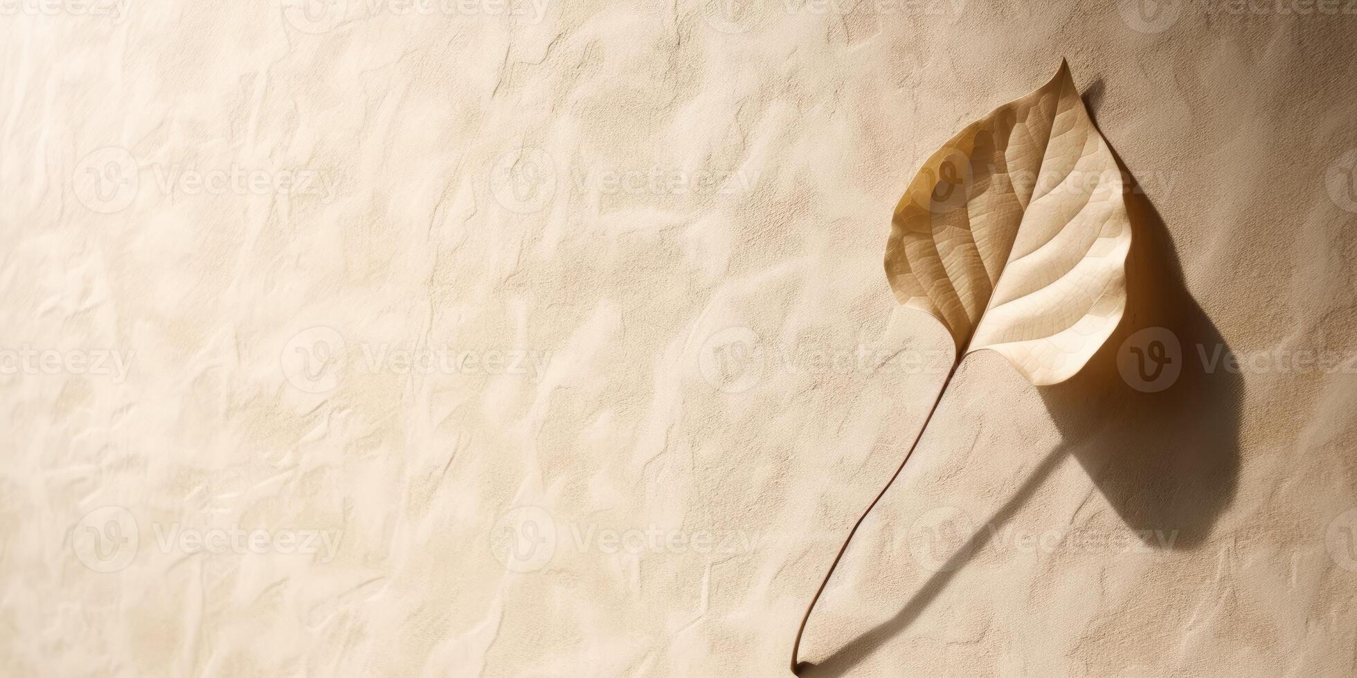Minimal abstract concrete texture background, neutral colored background wall textured surface with shadow for cosmetic spa health wellness product presentation. illustration photo