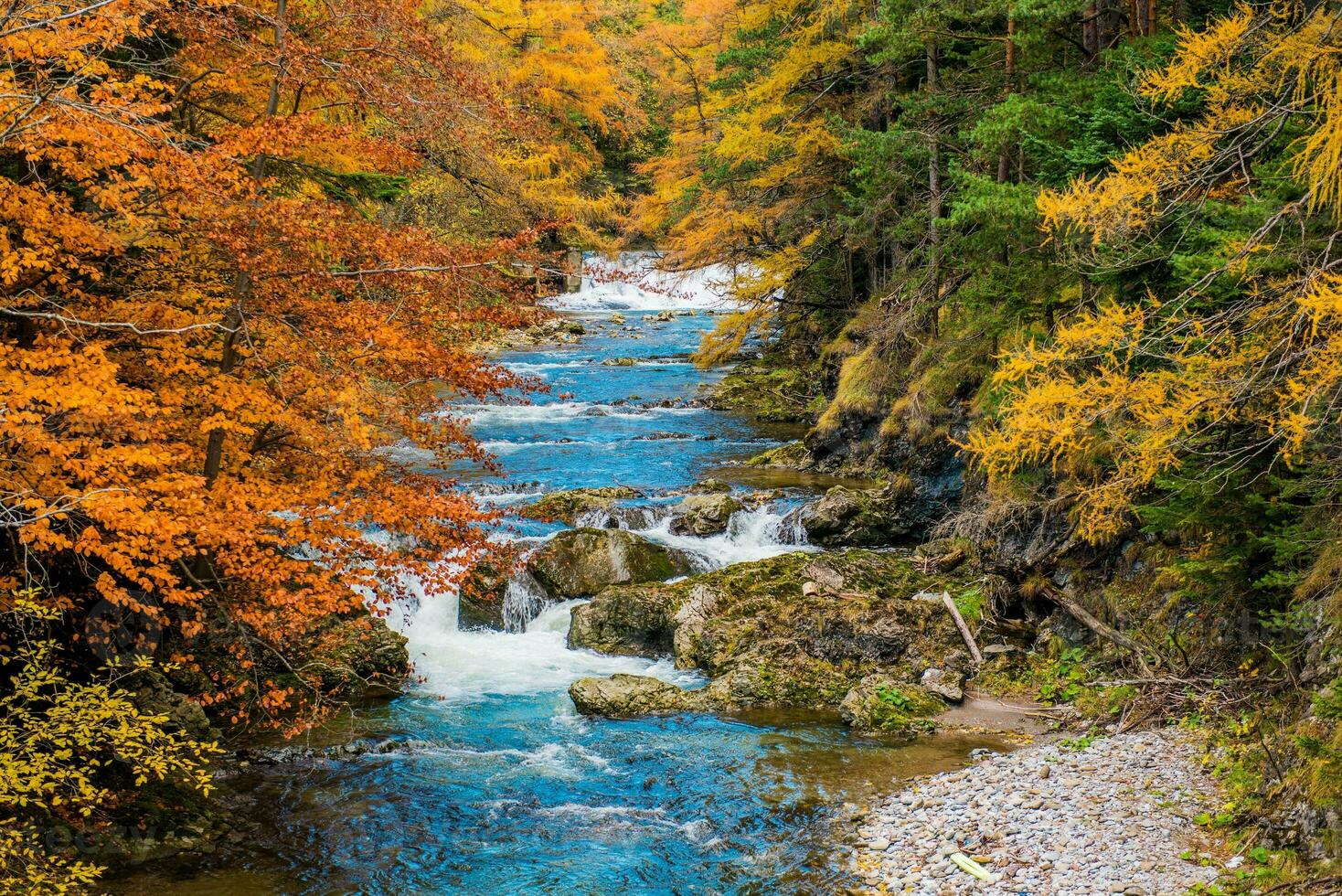 Scenic Autumn Fall Foliage photo