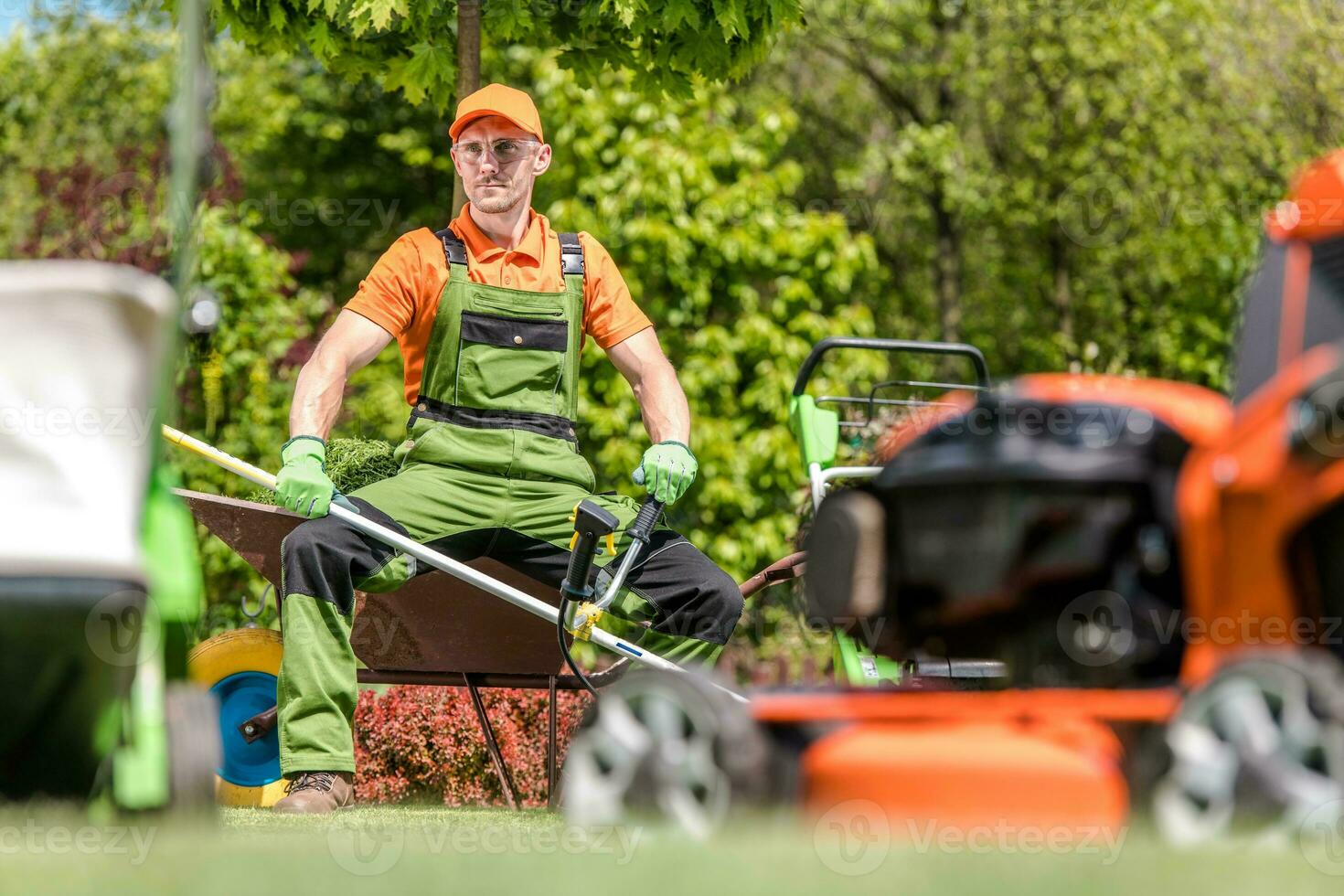 Professional Garden Maintenance photo