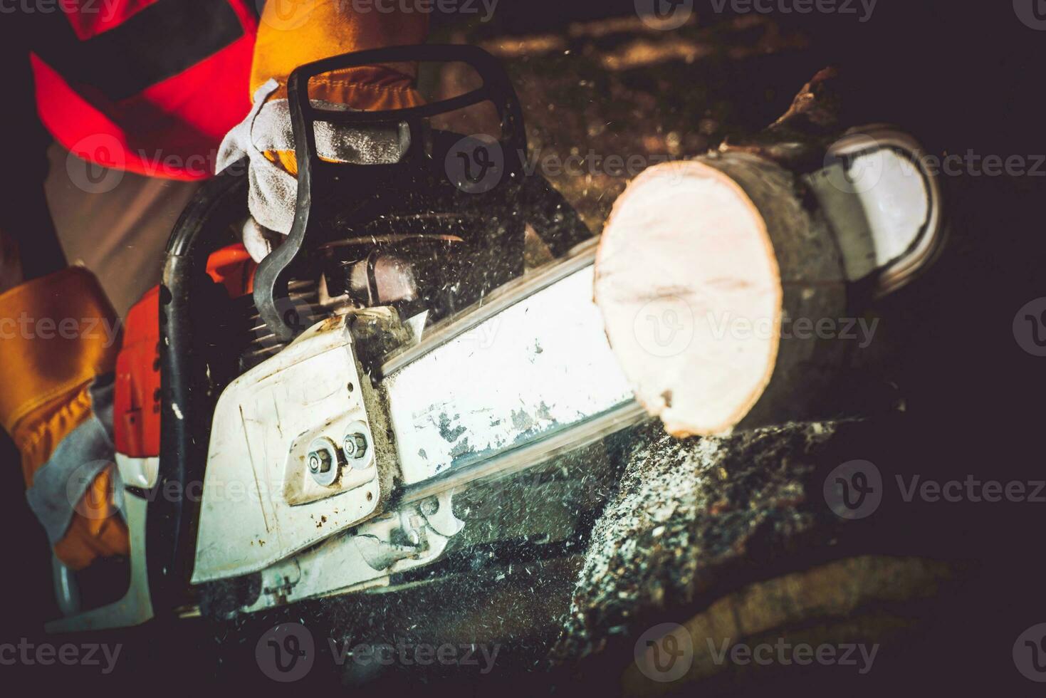 Logs Cutting Wood Cutter photo