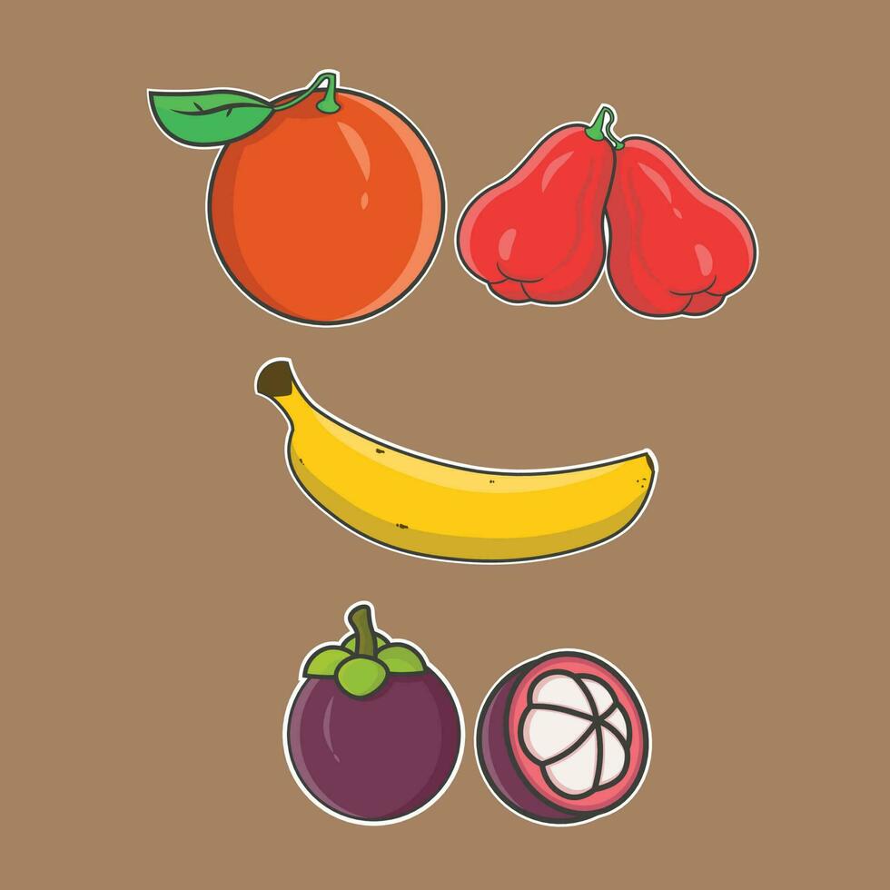 cartoon fruit orange, mangosteen, banana and guava vector