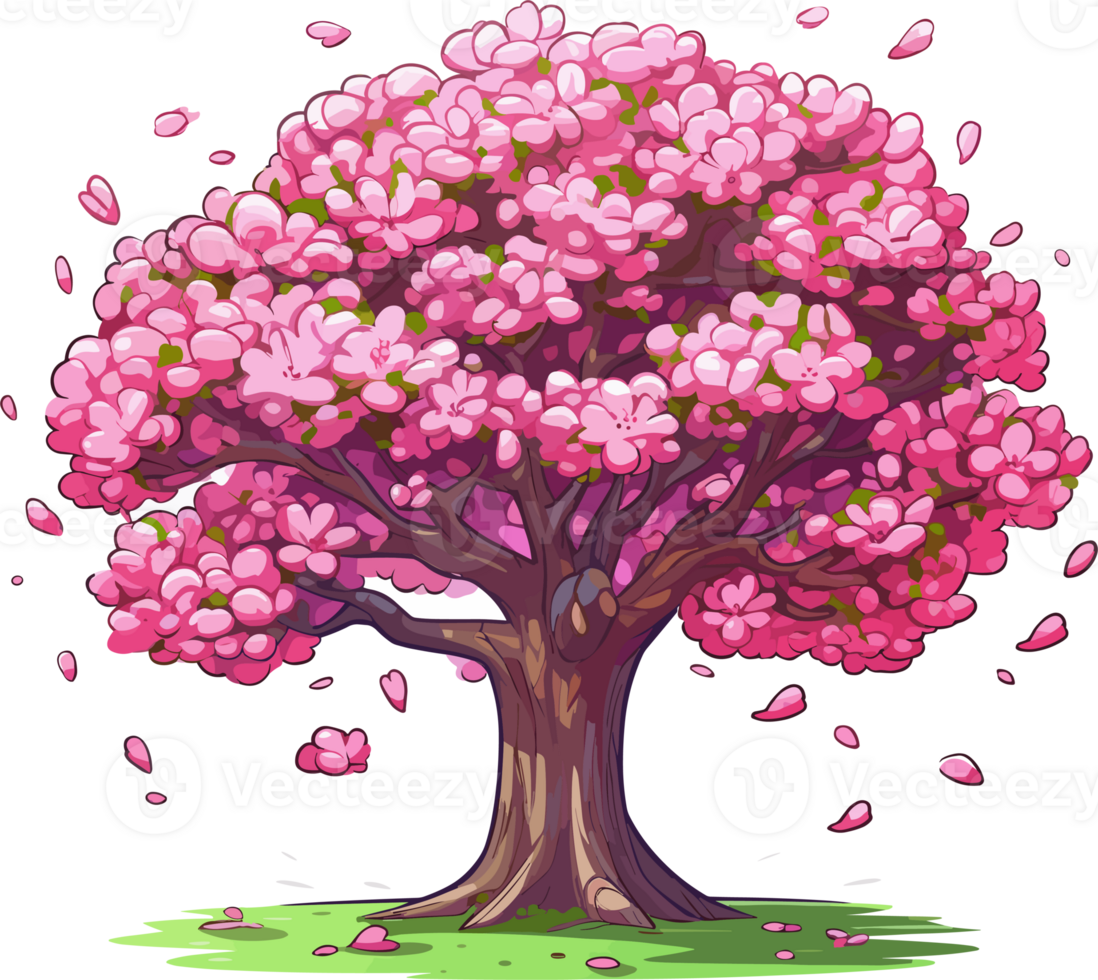 Redbud tree transparent background png