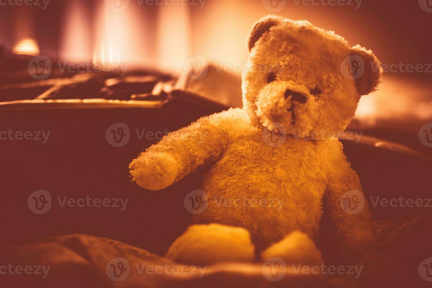 Plushy Teddy Bear photo