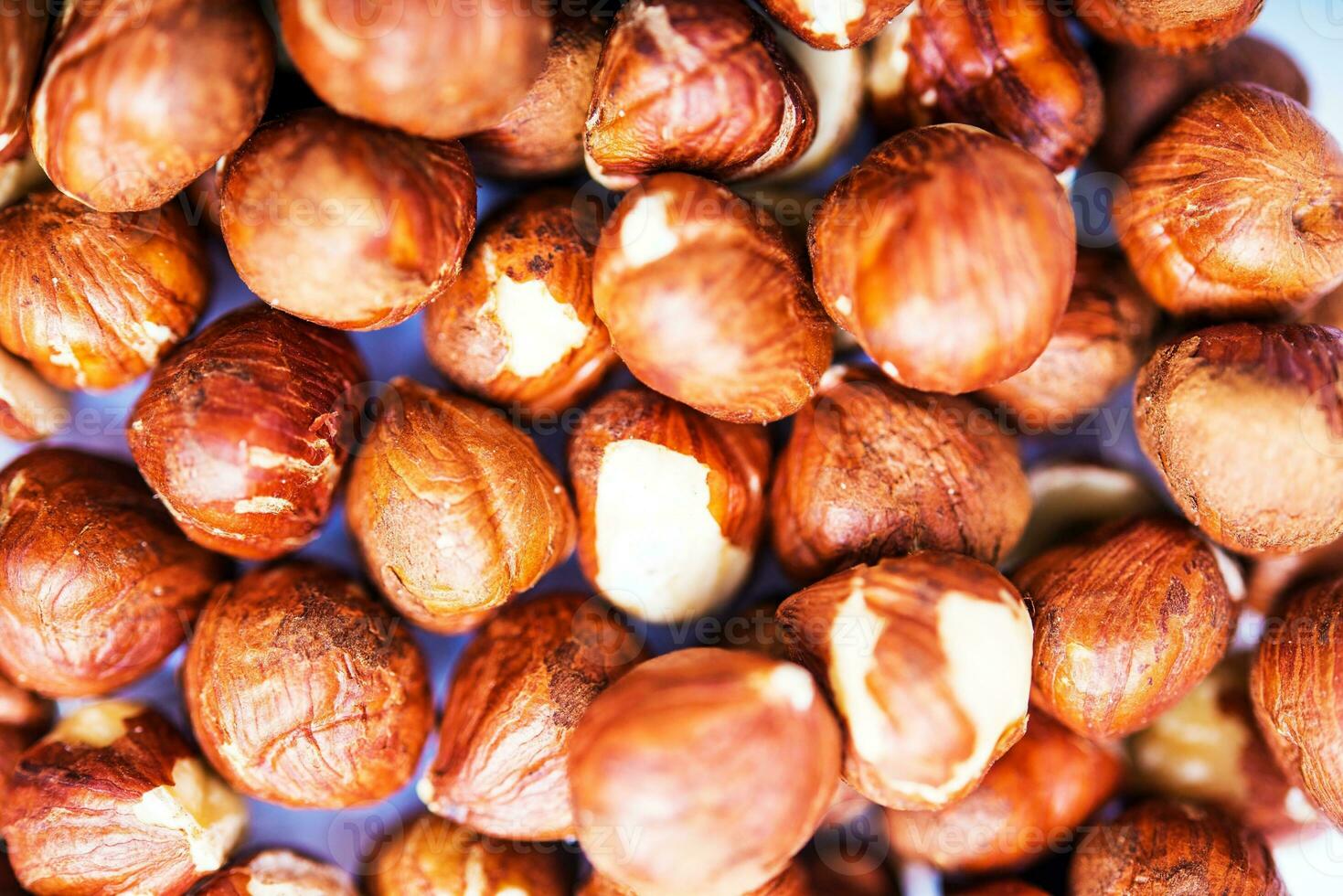 Raw Hazelnuts Closeup photo