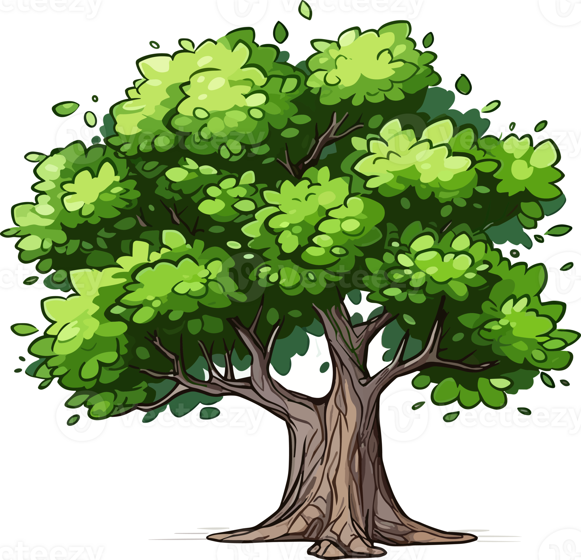 Elm tree transparent background 24521375 PNG
