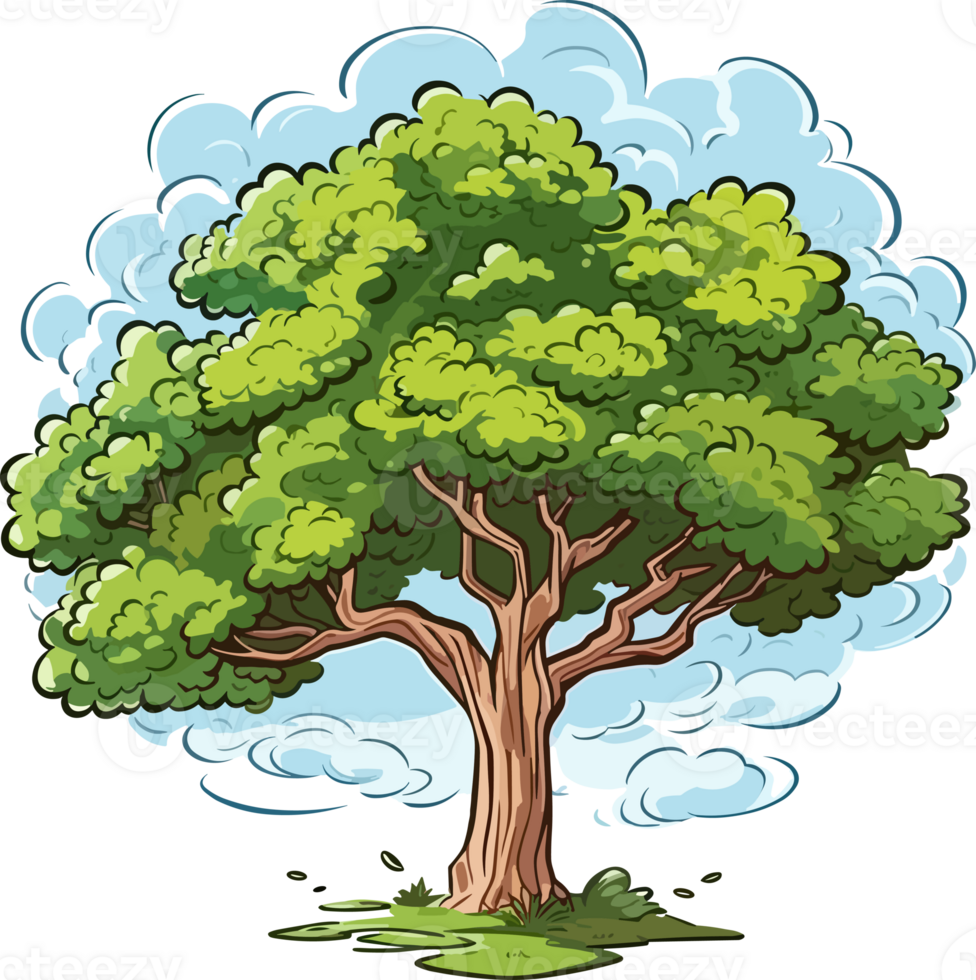 Ash tree transparent background png